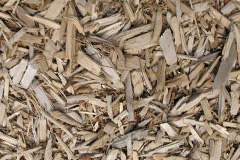 biomass boilers Salt
